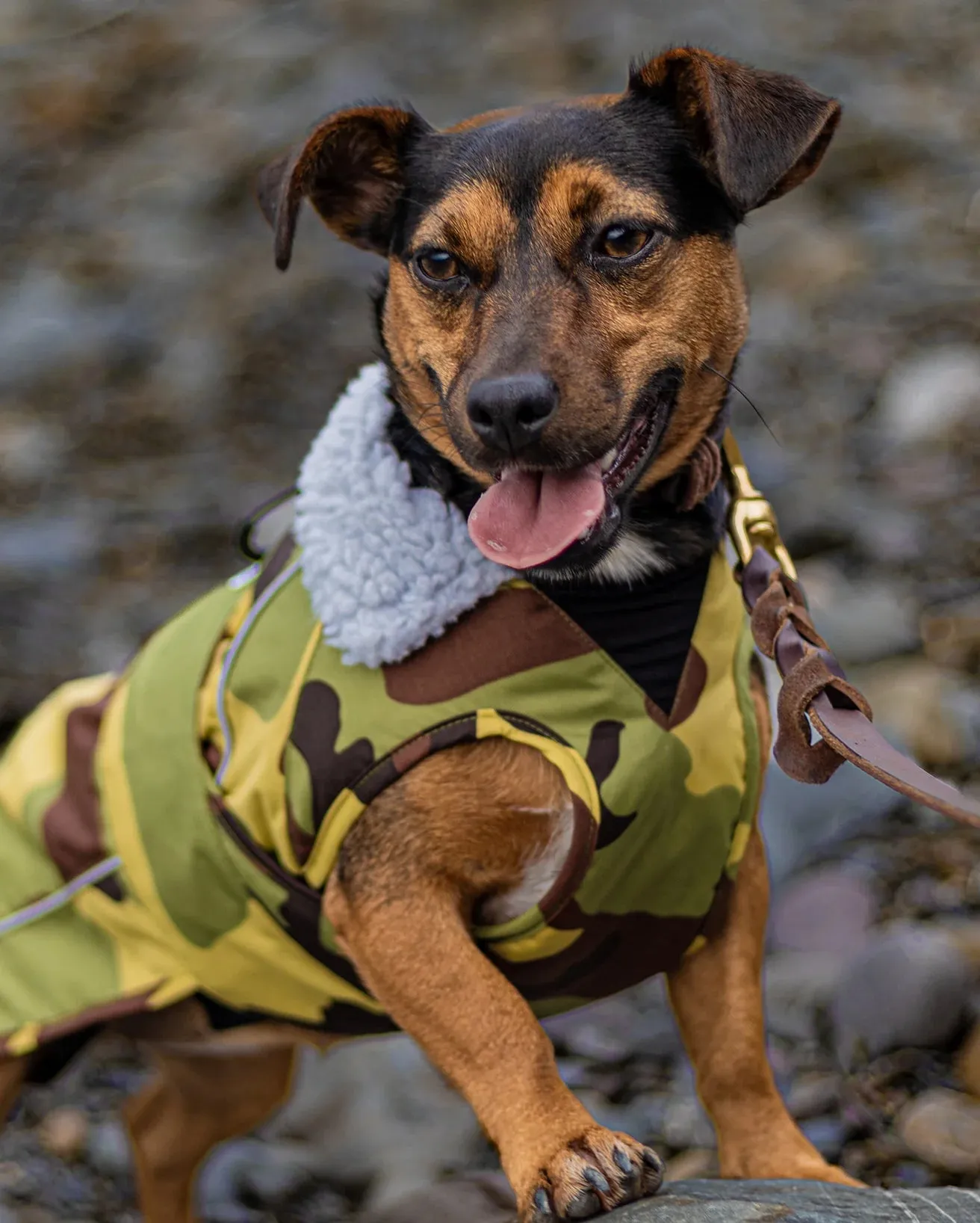 Dog Dryrobe in Camo & Grey
